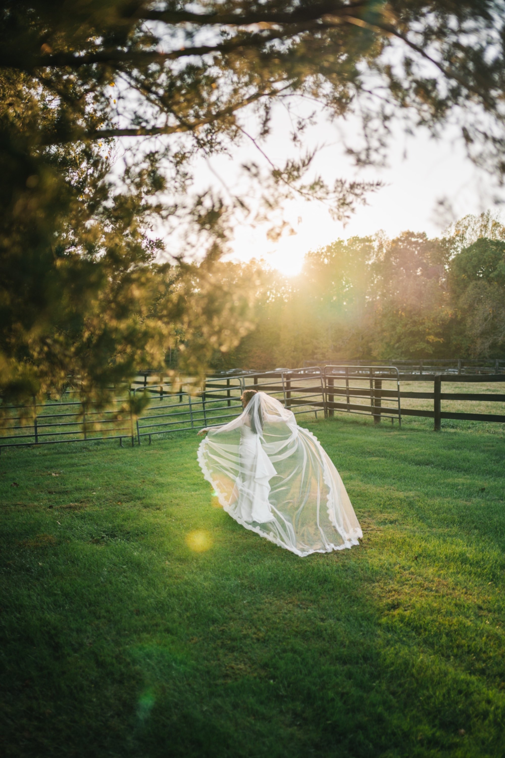 carousel-hero-element image-3