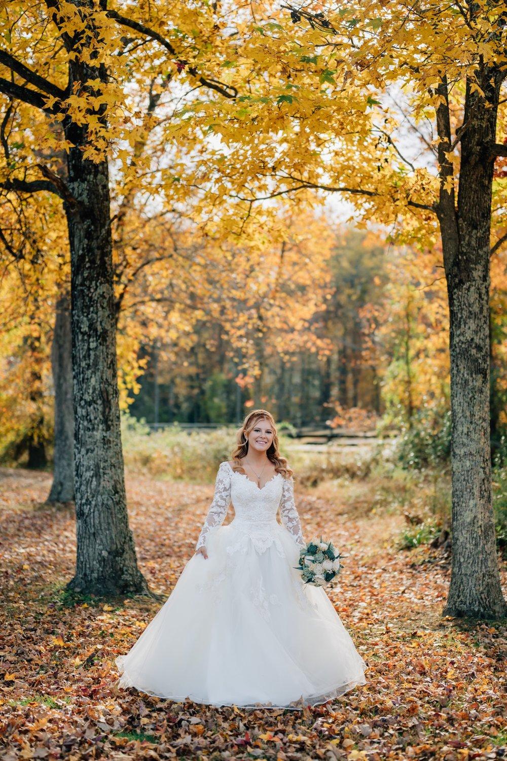 carousel-hero-element image-2