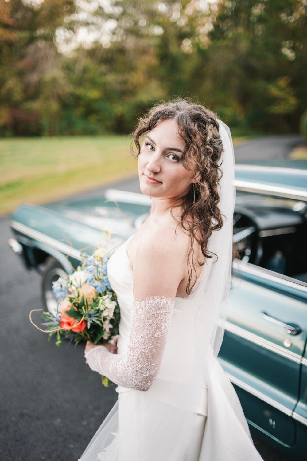 carousel-hero-element image-8